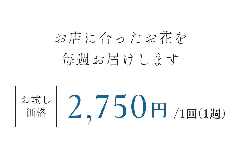 お試し価格2,750円/1回（1週）