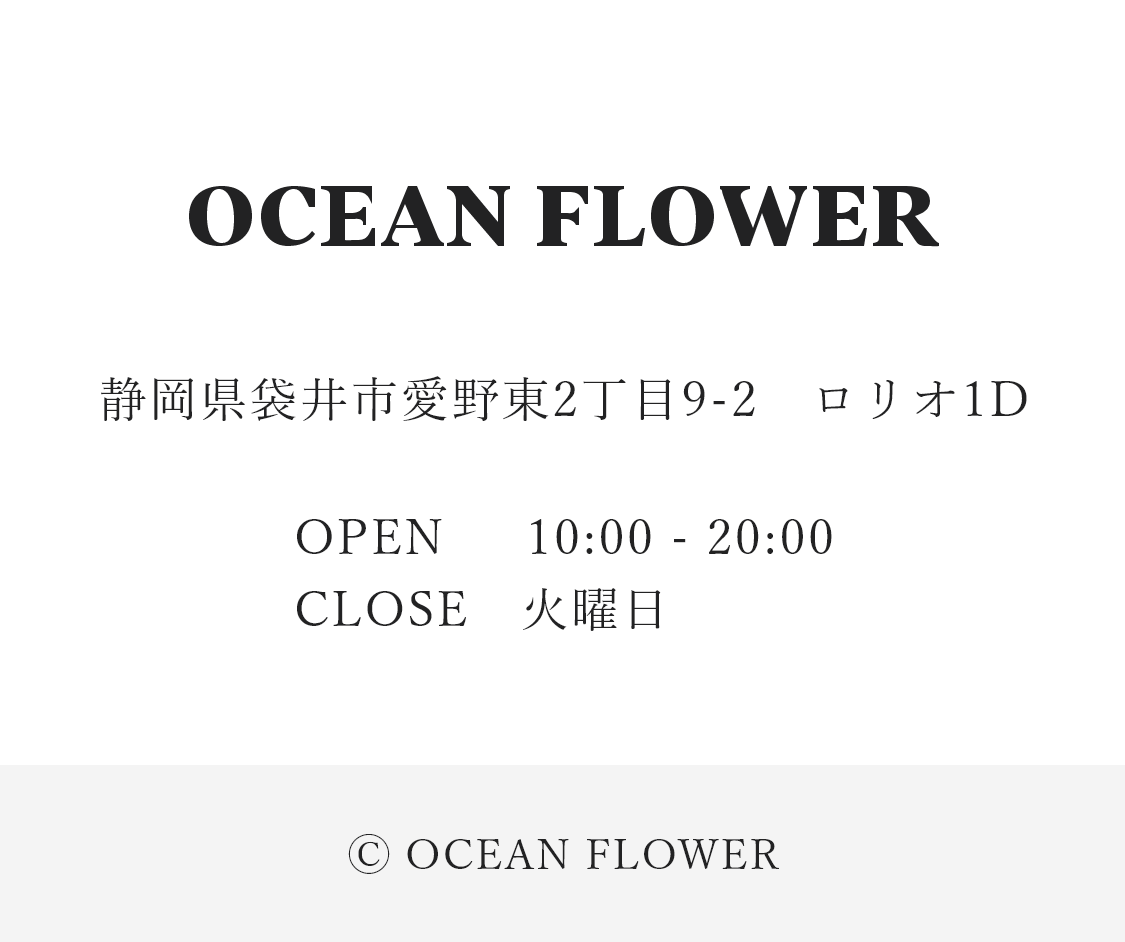 OCEAN FLOWER