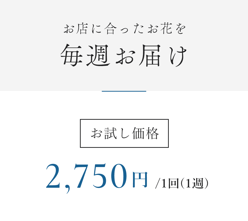 お店に合ったお花を毎週お届け